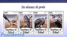 Birds of prey 4v m/s