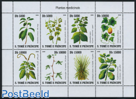 Medicinal plants 8v m/s  (issued 31 dec 2007 but with year 2008 on stamps)
