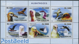 Albatross birds 6v m/s