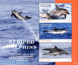 Striped dolphins 3v m/s