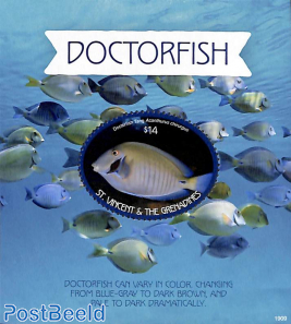 Doctorfish s/s