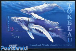 Humpback whale s/s