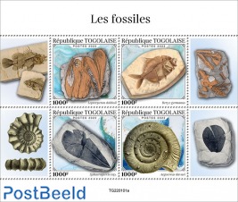 Fossils