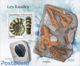 Fossils