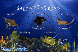Saltwater Rays 5v m/s