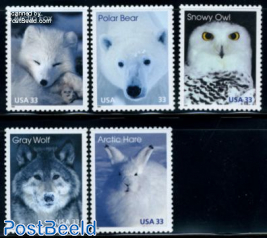 Arctic animals 5v