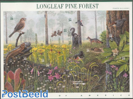 Longleaf Pine forest 10v m/s