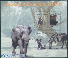 African animals 4v m/s, Panthera