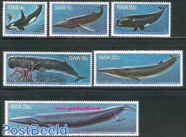 Whales 6v