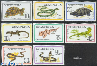 Reptiles 8v