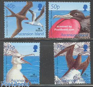 Birdlife 4v