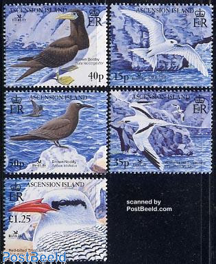 Birdlife 5v