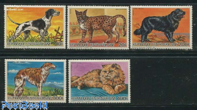 Dogs & cats 5v