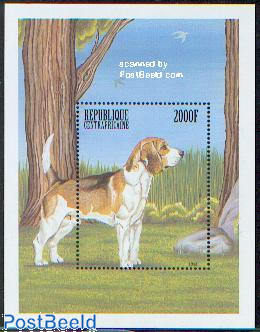 Beagle dog s/s