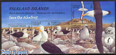 Birdlife, Albatros s/s