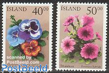 Summer flowers 2v