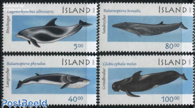 Whales 4v