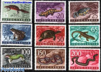 Reptiles 9v