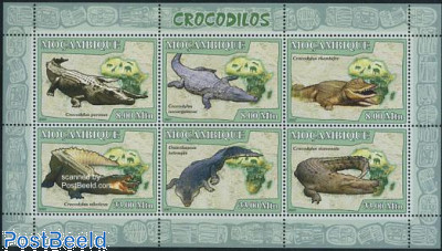 Crocodiles 6v m/s