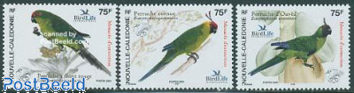 Parrots 3v