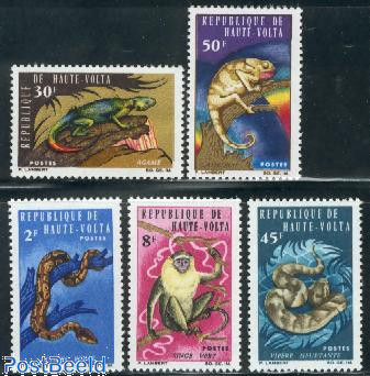 Animals 5v