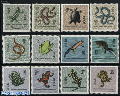 Reptiles 12v