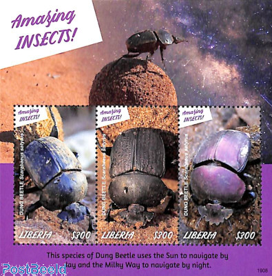Insects 3v m/s, Dung Beetle