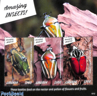 Insects, African Fruit Beetle 3v m/s