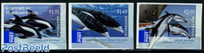 WWF, Dolphins 3v s-a