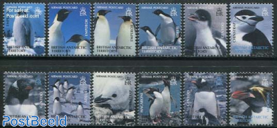Penguin 12v