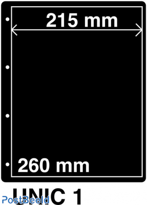 Kosmos Stockpages UNIC 1 (per 5)