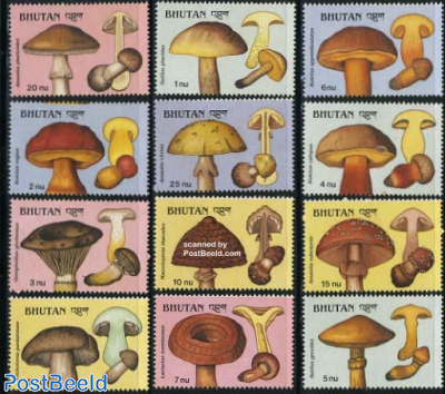 Mushrooms 12v