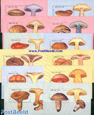 Mushrooms 12 s/s