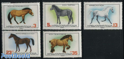 Horses 5v