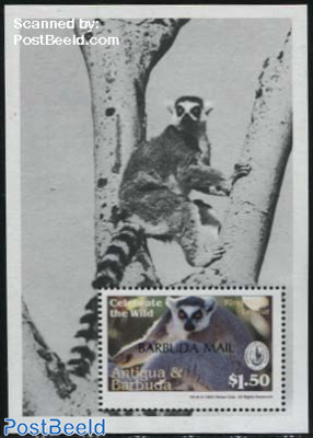 Ring-Tailed Lemur s/s