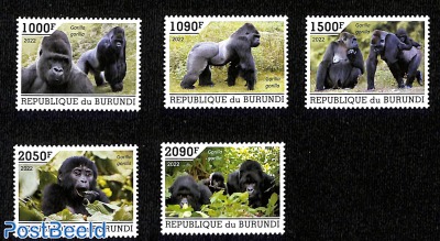 Gorillas, 5v