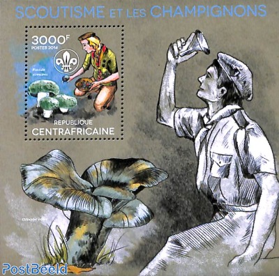 Scouting, mushrooms s/s