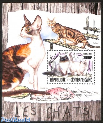 cats