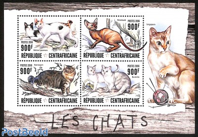 cats