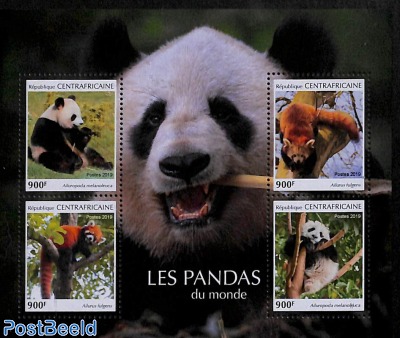 Panda 4v m/s