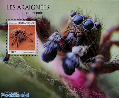Spiders s/s