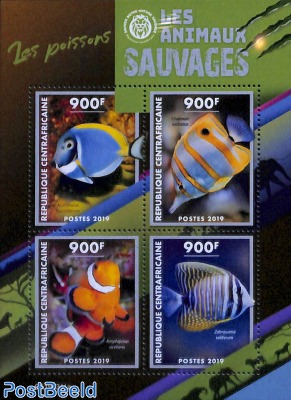 Fish 4v m/s