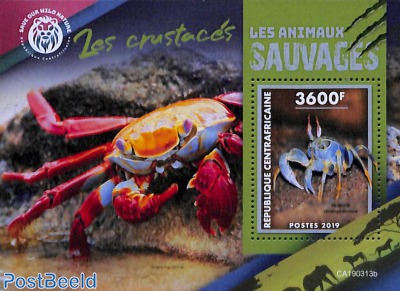 Crabs s/s