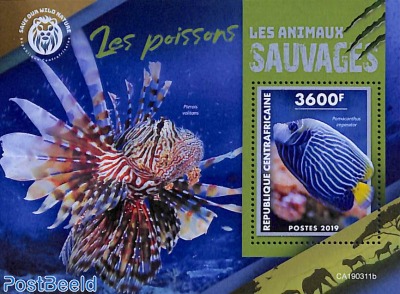 Fish s/s