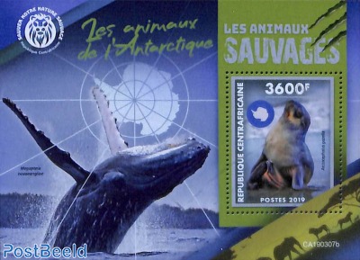 Antarctic animals s/s