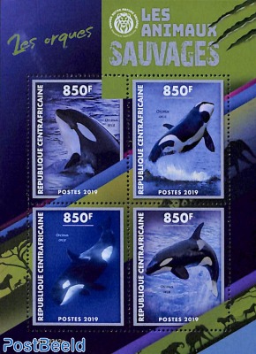 Killer whales 4v m/s
