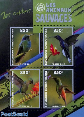 Hummingbirds 4v m/s