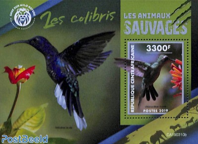 Hummingbirds s/s