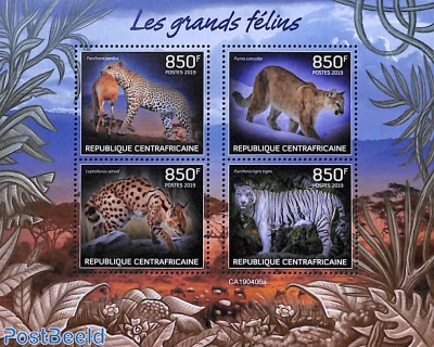 Big cats 4v m/s