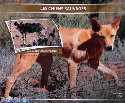 Wild dogs s/s